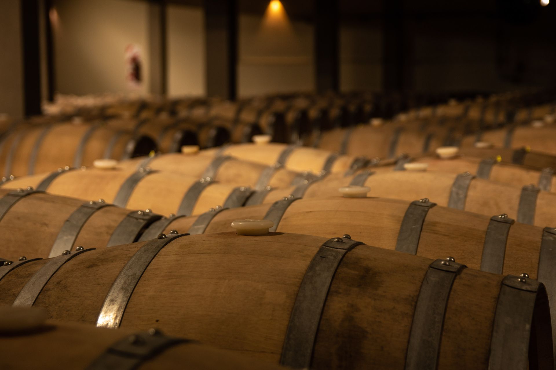 En este momento estás viendo Guía de envío de vino para profesionales